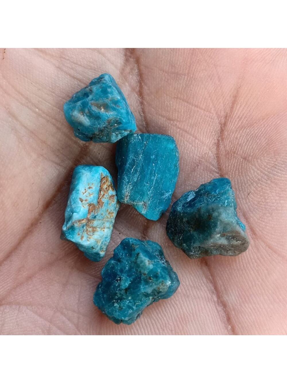 Apatite Lot of 5 Rough Stones